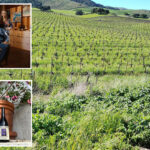 socal-winery-files-furious-lawsuit-against-santa-barbara-accusing-it-of-trying-to-milk-it-dry
