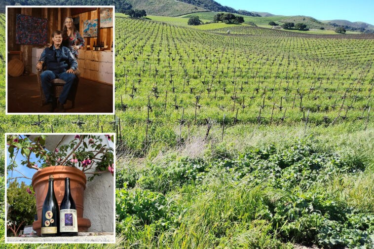 socal-winery-files-furious-lawsuit-against-santa-barbara-accusing-it-of-trying-to-milk-it-dry