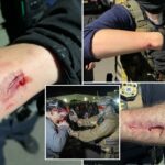anti-ice-agitator-charged-with-allegedly-biting-officers-during-delaney-hall-protest