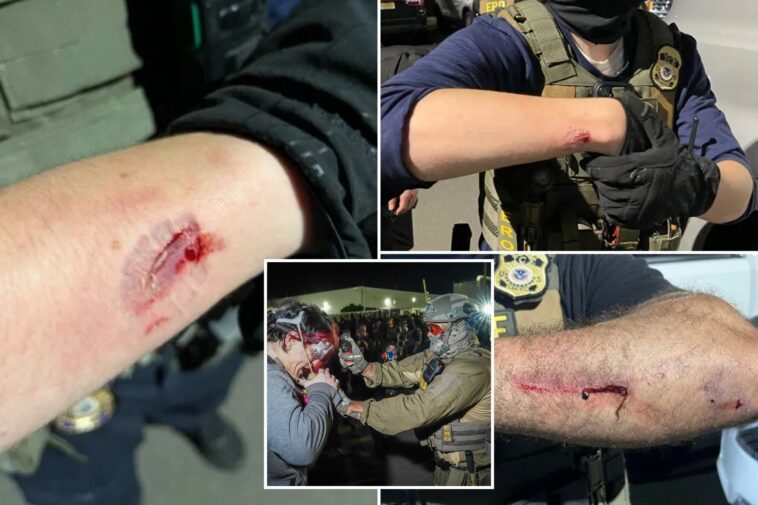 anti-ice-agitator-charged-with-allegedly-biting-officers-during-delaney-hall-protest