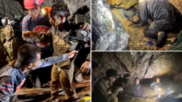 rescuers-pull-four-from-flooded-cave-in laos,-two-still-missing