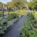 fighting-for-food-freedom:-a-georgia-farmer’s-stand-against-bureaucratic-overreach
