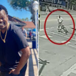 hollywood-walk-of-fame-becomes-scene-of-brutal-dog-attack,-stabbing-death-of-37-year-old-man