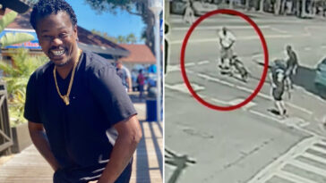 hollywood-walk-of-fame-becomes-scene-of-brutal-dog-attack,-stabbing-death-of-37-year-old-man