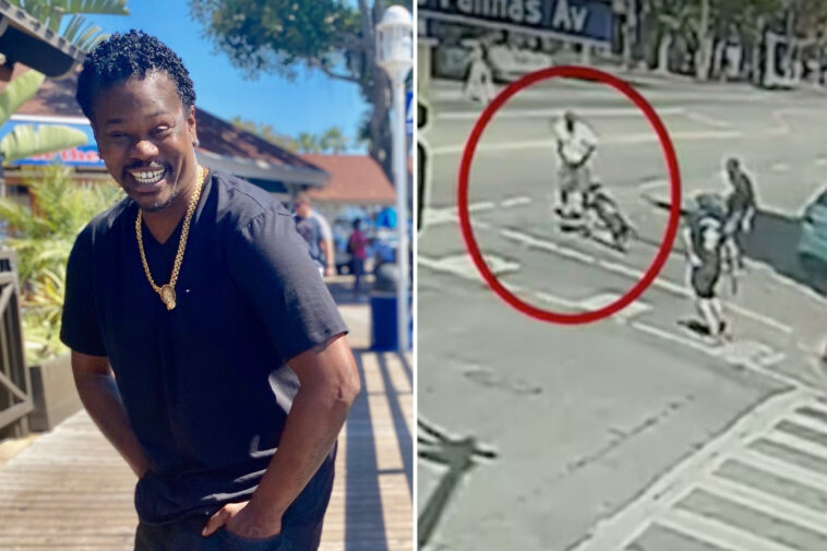 hollywood-walk-of-fame-becomes-scene-of-brutal-dog-attack,-stabbing-death-of-37-year-old-man