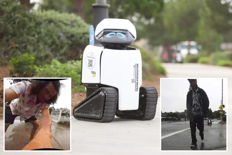 city-robots-doused-in-beer-and-violently-attacked-as-police-hunt-suspects