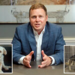 spencer-pratt-puts-forth-5-step-plan-to-help-‘heavenly’-animals-in-la:-‘dog-is-just-god-backwards’ 