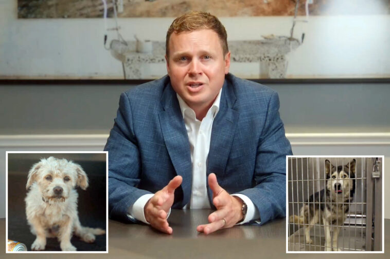 spencer-pratt-puts-forth-5-step-plan-to-help-‘heavenly’-animals-in-la:-‘dog-is-just-god-backwards’ 
