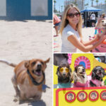 wiener-wonderland-at-huntington-beach-for-‘socal-wienerfest’