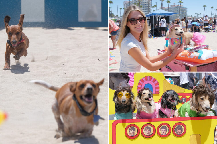 wiener-wonderland-at-huntington-beach-for-‘socal-wienerfest’