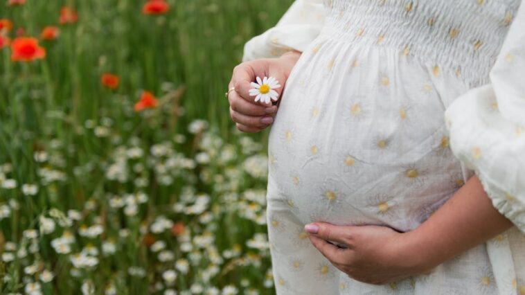 i-lost-everything-then-one-unexpected-pregnancy-changed-my-future.