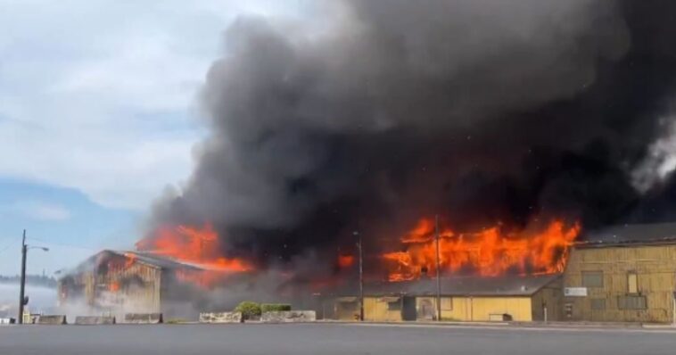 horrific:-11-workers-killed-in-massive-toxic-chemical-tank-implosion-at-washington-paper-mill,-all-victims-identified-as-federal-probe-launches