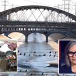 la-mayoral-hopeful-nithya-raman-ripped-to-shreds-over-fetid-hellhole-in-her-own-backyard:-‘failure-to-lead’