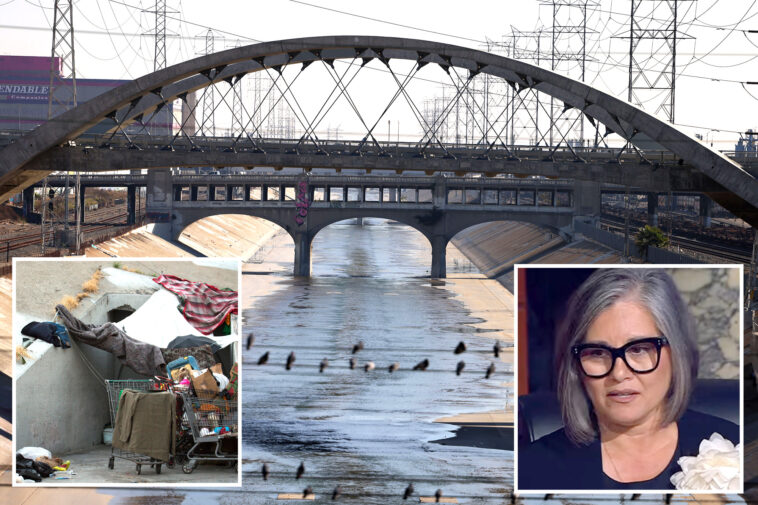 la-mayoral-hopeful-nithya-raman-ripped-to-shreds-over-fetid-hellhole-in-her-own-backyard:-‘failure-to-lead’