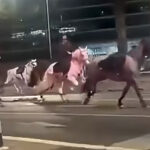 dozens-of-horses-stampede-through-the-streets-of-rome-after-getting-spooked-by-fireworks