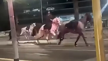 dozens-of-horses-stampede-through-the-streets-of-rome-after-getting-spooked-by-fireworks