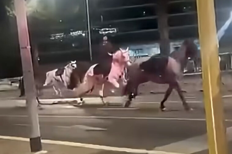 dozens-of-horses-stampede-through-the-streets-of-rome-after-getting-spooked-by-fireworks