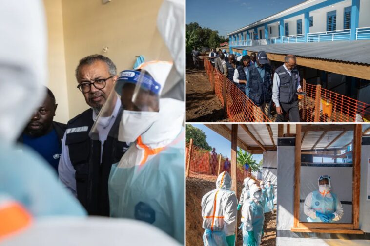 who-confirms-5-patients-have-recovered-from-rare-type-of-ebola-that-has-killed-over-200-in-the-congo