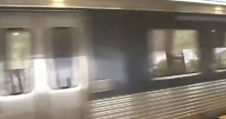 horror:-elderly-woman-brutally-stabbed-to-death-in-broad-daylight-on-train-in-atlanta-–-suspect-identified-and-arrested