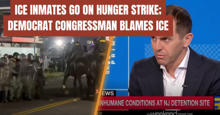 ice-detainees-launch-hunger-strike-as-democrats-blame-ice-over-facility-food-(video)