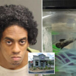 cops-bust-creep-carrying-pet-fish-and-exposing-his-‘chimichanga’-outside-florida-taco-bell