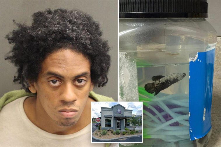 cops-bust-creep-carrying-pet-fish-and-exposing-his-‘chimichanga’-outside-florida-taco-bell