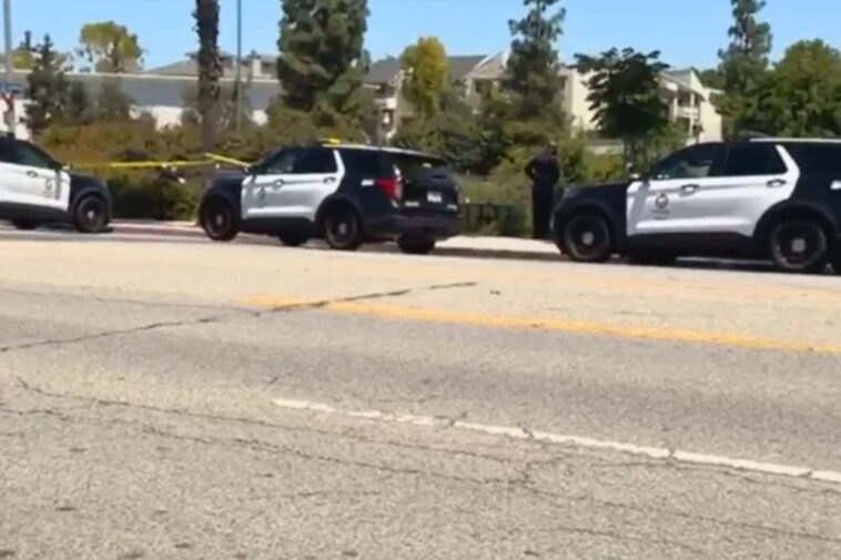 gunman-on-the-loose-after-killing-40-year-old-man-near-universal/studio-city-metro-station