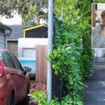 portland-couple-sues-neighbor-for-$200k-over-foul-stench-wafting-from-tiny-home-so-pungent-they-need-to-wear-gas-masks