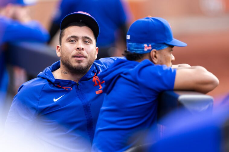 francisco-alvarez-set-for-rehab-assignment-quicker-than-expected-in-promising-mets-sign