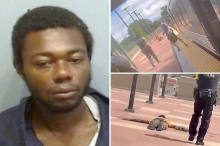 atlanta-train-passenger-was-stabbed-20-times-after-homeless-thug-slit-her-throat-in-random-attack-on-marta
