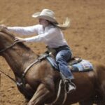 teen-girl-arrested-after-brutal-stabbing-of-3-horses-at-national-horse-competition
