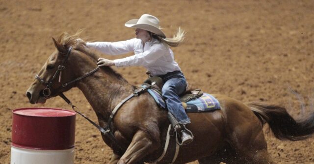 teen-girl-arrested-after-brutal-stabbing-of-3-horses-at-national-horse-competition