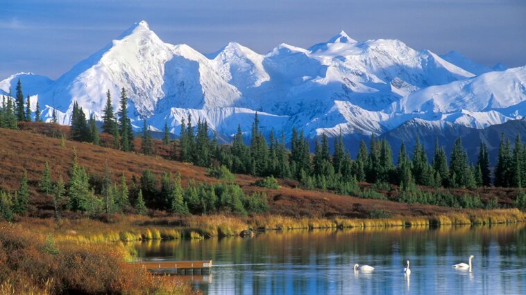 lone-survivor-rescued-after-fatal-fall-kills-three-climbers-on-mount-mckinley