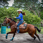 teen-goes-on-violent-spree-at-barrel-racing-event-in-las-vegas,-multiple-horses-repeatedly-stabbed