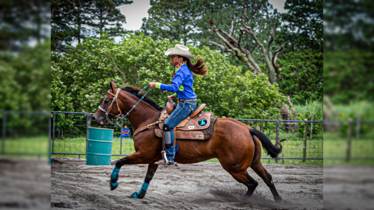 teen-goes-on-violent-spree-at-barrel-racing-event-in-las-vegas,-multiple-horses-repeatedly-stabbed