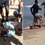11-year-old-boy-loses-leg-in-shark-attack-as-he-begs-rescuers-not-to-let-him-die