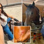 ‘obsessive’-teen-girl-allegedly-stabs-three-horses-at-las-vegas-barrel-racing-event-—-as-grisly-photos-emerge