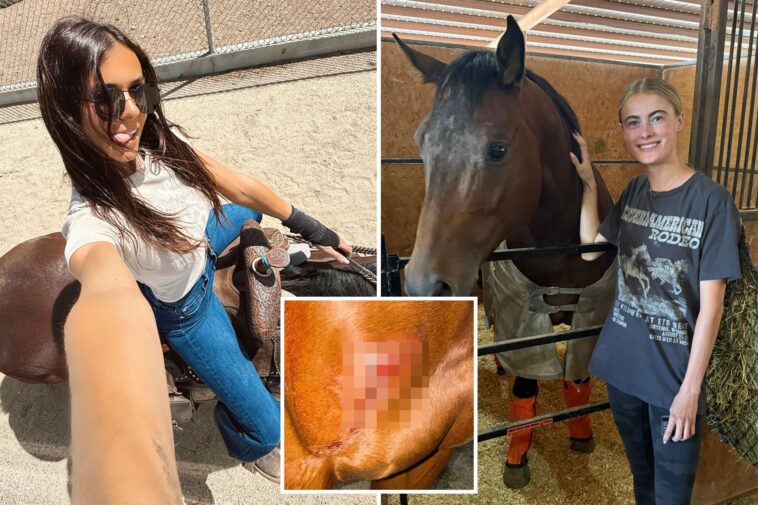‘obsessive’-teen-girl-allegedly-stabs-three-horses-at-las-vegas-barrel-racing-event-—-as-grisly-photos-emerge