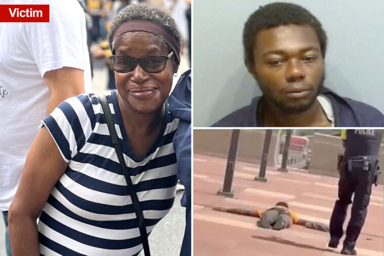 heartbreaking-first-pics-show-great-grandmother-who-was-stabbed-on-atlanta-marta-train:-‘nobody-was-helping-her’