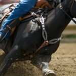 teenage-barrel-racing-competitor-arrested-after-horse-stabbing-rampage