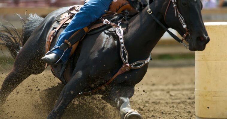 teenage-barrel-racing-competitor-arrested-after-horse-stabbing-rampage