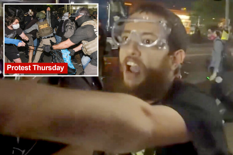 anti-ice-delaney-hall-protester-from-nyc-charged-with-threatening-to-kill-agent,-his-family