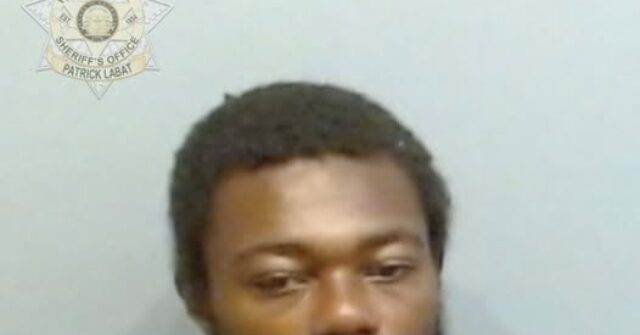 video:-66-year-old-woman-fatally-stabbed-nearly-20-times-on-atlanta-train