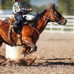 teen-athlete-arrested,-three-horses-pulled-from-competition-after-alleged-overnight-barn-attack