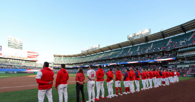 video:-players-ejected-after-angels,-rays-engage-in-national-anthem-standoff