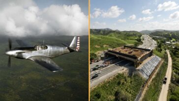 state-where-p-51-mustang-was-built-in-102-days-now-taking-4-years-to-build-bridge-for-butterflies