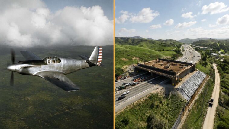 state-where-p-51-mustang-was-built-in-102-days-now-taking-4-years-to-build-bridge-for-butterflies