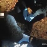 horror:-“i’ve-been-stabbed!”-–-uk-police-bodycam-footage-shows-stabbing-victim-henry-nowak-pleading-with-officers-as-they-cuff-and-drag-him-(video)