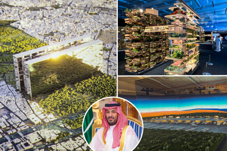 saudi-arabian-crown-prince’s-$12-trillion,-desert-city-dream-in-tatters-as-megaproject-halted