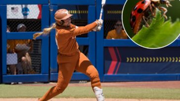 texas-softball-riding-star’s-wild-lady-bug-eating-superstition-all-the-way-to-ncaa-final